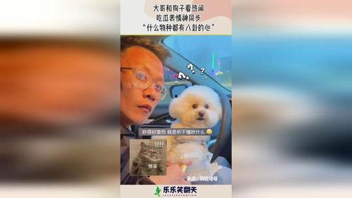 大佬读心吃瓜免费阅读,免费阅读背后的秘密与精彩内容  第1张